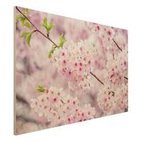 Bilderwelten Holzbild Japanische KirschblÃ¼ten