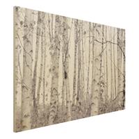 Bilderwelten Holzbild Silberbirke im weiÃŸen Licht