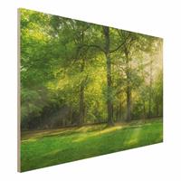 Bilderwelten Holzbild Spaziergang im Wald