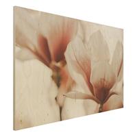 Bilderwelten Holzbild Zarte MagnolienblÃ¼ten im Lichtspiel