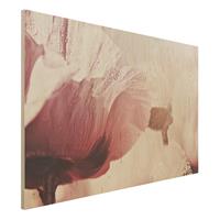 Bilderwelten Holzbild Zartrosane MohnblÃ¼te mit Wassertropfen