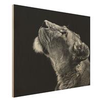 Bilderwelten Holzbild Schwarz-WeiÃŸ - Querformat 4:3 Portrait einer LÃ¶win