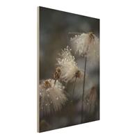 Bilderwelten Holzbild Blumen - Hochformat 3:4 Pusteblumen mit Schneeflocken
