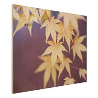 Bilderwelten Holzbild Herbstlicher Ahorn