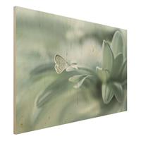 Bilderwelten Holzbild Blumen - Querformat 3:2 Schmetterling und Tautropfen in PastellgrÃ¼n