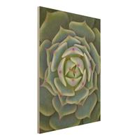 Bilderwelten Holzbild Blumen - Hochformat 3:4 Sukkulente - Echeveria Ben Badis