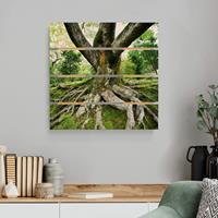 Bilderwelten Holzbild Plankenoptik Natur & Landschaft - Quadrat Alter Baum