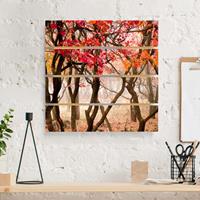Bilderwelten Holzbild Plankenoptik Natur & Landschaft - Quadrat Japan im Herbst