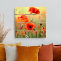 Bilderwelten Holzbild Plankenoptik Blumen - Quadrat Roter Sommermohn