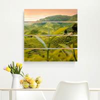 Bilderwelten Holzbild Plankenoptik Natur & Landschaft - Quadrat Teagarden