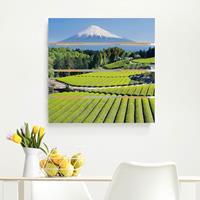 Bilderwelten Holzbild Plankenoptik Natur & Landschaft - Quadrat Teefelder vor dem Fuji
