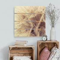 Bilderwelten Holzbild Plankenoptik Blumen - Quadrat Detailreiche Pusteblumen Makroaufnahme mit Vintage Blur Effekt