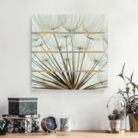 Bilderwelten Holzbild Plankenoptik Blumen - Quadrat SchÃ¶ne Pusteblume Makroaufnahme