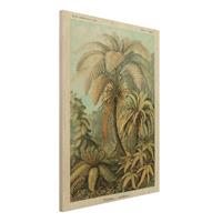 Bilderwelten Holzbild Blumen - Hochformat 3:4 Botanik Vintage Illustration Laubfarne