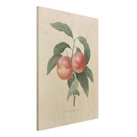 Bilderwelten Holzbild KÃ¼che - Hochformat 3:4 Botanik Vintage Illustration Pfirsich