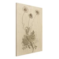 Bilderwelten Holzbild Blumen - Hochformat 3:4 Botanische Studie in Sepia III