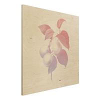 Bilderwelten Holzbild Blumen - Quadrat Modern Vintage Botanik Pfirsich Rosa Violett