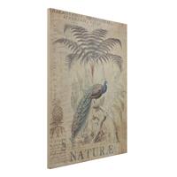 Bilderwelten Holzbild Tiere - Hochformat 3:4 Shabby Chic Collage - Pfau