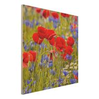Bilderwelten Holzbild Blumen - Quadrat Sommerwiese mit Mohn und Kornblumen