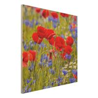 Bilderwelten Holzbild Blumen - Quadrat Sommerwiese mit Mohn und Kornblumen