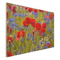 Bilderwelten Holzbild Blumen - Querformat 3:2 Sommerwiese mit Mohn und Kornblumen