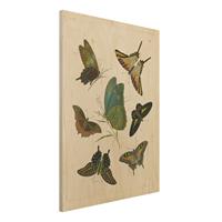 Bilderwelten Holzbild Tiere - Hochformat 3:4 Vintage Illustration Exotische Schmetterlinge