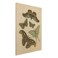 Bilderwelten Holzbild Tiere - Hochformat 3:4 Vintage Illustration Exotische Schmetterlinge II