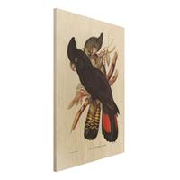 Bilderwelten Holzbild Tiere - Hochformat 2:3 Vintage Illustration Rabenkakadu Schwarz Gold