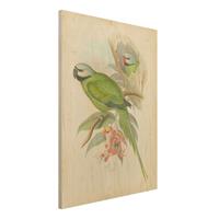 Bilderwelten Holzbild Tiere - Hochformat 3:4 Vintage Illustration Tropische VÃ¶gel II
