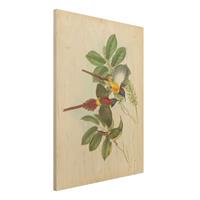Bilderwelten Holzbild Tiere - Hochformat 3:4 Vintage Illustration Tropische VÃ¶gel III