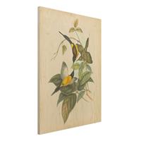 Bilderwelten Holzbild Tiere - Hochformat 3:4 Vintage Illustration Tropische VÃ¶gel IV