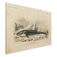 Bilderwelten Holzbild Tiere - Querformat 3:2 Vintage Lehrtafel Blauer Wal