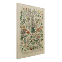 Bilderwelten Holzbild Blumen - Hochformat 3:4 Vintage Lehrtafel Blumen I