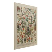 Bilderwelten Holzbild Blumen - Hochformat 3:4 Vintage Lehrtafel Blumen IV