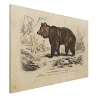 Bilderwelten Holzbild Tiere - Querformat 3:2 Vintage Lehrtafel BraunbÃr