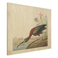 Bilderwelten Holzbild Tiere - Querformat 4:3 Vintage Lehrtafel Brauner Ibis