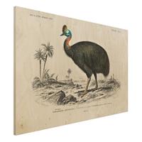 Bilderwelten Holzbild Tiere - Querformat 3:2 Vintage Lehrtafel Emu