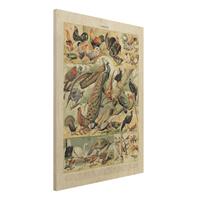 Bilderwelten Holzbild Tiere - Hochformat 3:4 Vintage Lehrtafel EuropÃische VÃ¶gel