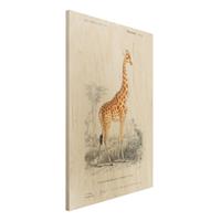 Bilderwelten Holzbild Tiere - Hochformat 2:3 Vintage Lehrtafel Giraffe