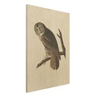 Bilderwelten Holzbild Tiere - Hochformat 3:4 Vintage Lehrtafel GroÃŸe Eule