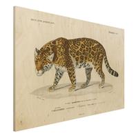 Bilderwelten Holzbild Tiere - Querformat 3:2 Vintage Lehrtafel Jaguar