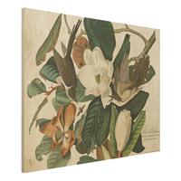 Bilderwelten Holzbild Tiere - Querformat 4:3 Vintage Lehrtafel Kuckuck