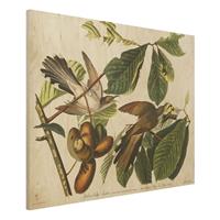Bilderwelten Holzbild Tiere - Querformat 4:3 Vintage Lehrtafel Kuckuck II