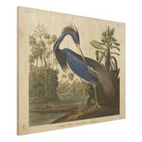 Bilderwelten Holzbild Tiere - Querformat 4:3 Vintage Lehrtafel Louisiana Reiher