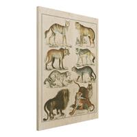 Bilderwelten Holzbild Tiere - Hochformat 3:4 Vintage Lehrtafel LÃ¶we, Tiger und Schakal