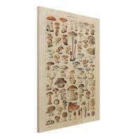 Bilderwelten Holzbild KÃ¼che - Hochformat 3:4 Vintage Lehrtafel Pilze