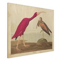 Bilderwelten Holzbild Tiere - Querformat 4:3 Vintage Lehrtafel Roter Ibis