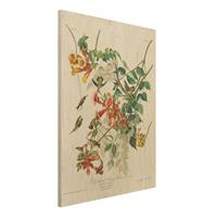 Bilderwelten Holzbild Blumen - Hochformat 3:4 Vintage Lehrtafel Rubinkehlkolibris