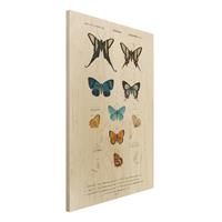 Bilderwelten Holzbild Tiere - Hochformat 2:3 Vintage Lehrtafel Schmetterlinge I