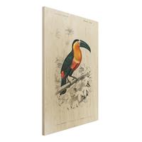 Bilderwelten Holzbild Tiere - Hochformat 2:3 Vintage Lehrtafel Tukan Schwarz Gelb